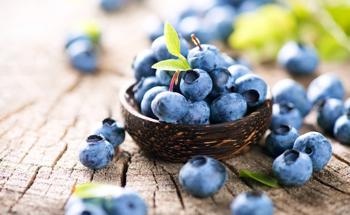 How Might Microscopy Techniques Reduce Food Waste?