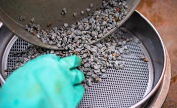 Particle Size and the Role of Image Analysis