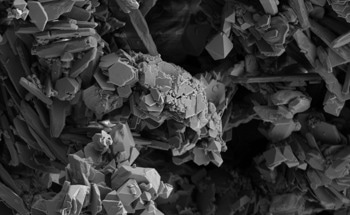 The Future of Sensing and Imaging Using Quantum Microscopy