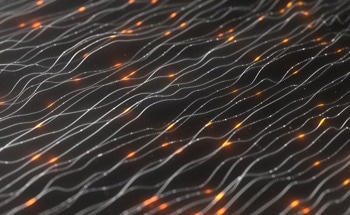 Optical Neural Networks Using Synthetic Dimensions