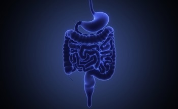 How are X-Ray and Photoacoustic Imaging used in Gut Analysis?