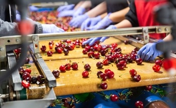 Photonics-Enabled Hyperspectral Imaging for Food Sorting