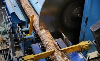 The Use of Lasers in the Lumber Industry