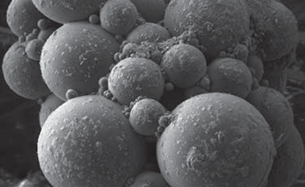 Beyond Optical Stereo Microscopy