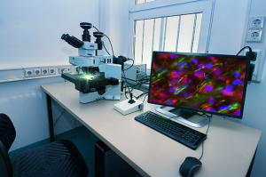 Optical Filters: Exploring the Differences Between Absorption and Interference Filters
