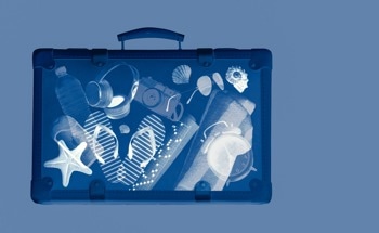 Enhancing Threat Detection with X-Ray Imaging