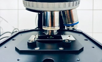 What are the Benefits of Optical Filters in Raman Spectroscopy?