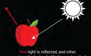 How to Enhance SWIR Imaging with Multispectral Optical Filters