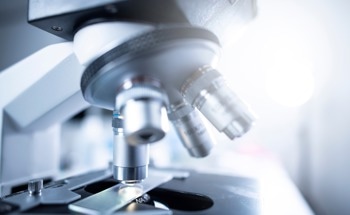 Optical Imaging: An Overview