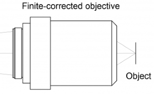 How to Choose the Right Objective Lens for Your Microscope