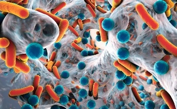 Advancing Biofilm Research with Optical Profilers