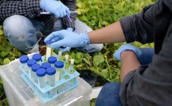 Environmental Monitoring with Dual-Comb Spectroscopy: Precision Sensing for Trace Gases