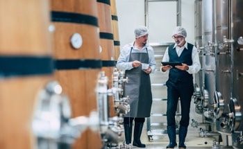 Real-Time Fermentation Monitoring in Food Production Using Spectroscopy