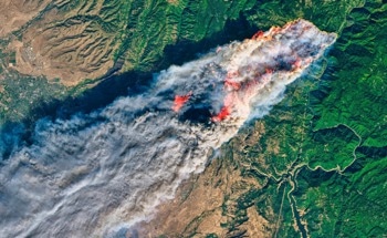 How Optical Satellite Technologies are Transforming Forest Protection