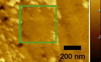 Enhancing TERS Analysis with Concurrent Two-Laser Excitation