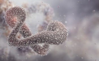 Intro to Fluorescence Correlation Spectroscopy in Proteomics