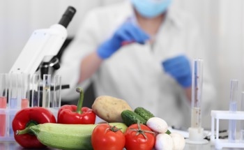 AI-Enhanced Optical Spectroscopy for On-Line Food Quality Monitoring