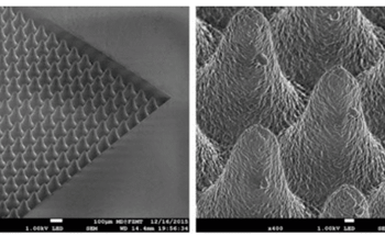Surface Microstructuring with Ultrashort Laser Pulses