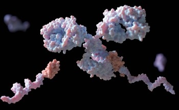 SERS in Proteomics
