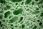 How Will Optical Imaging Change in The Future?