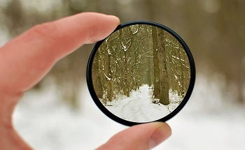 States of Polarization - Linear, Circular and Elliptical Polarization