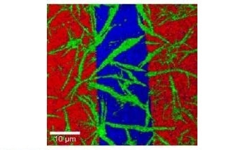 In Confocal Raman Imaging - Acquisition Time for One Raman Spectrum is a Crucial Value