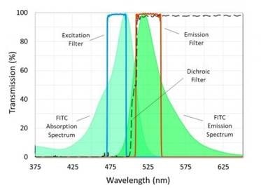 Filters for Life Sciences: Ultra Fluorescence Filter Sets