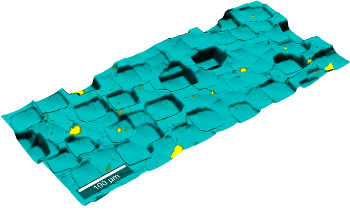 WITec TrueSurface Microscopy: Topographic Raman Imaging
