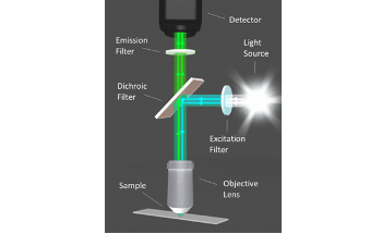 Filters for Life Sciences: Ultra Fluorescence Filter Sets