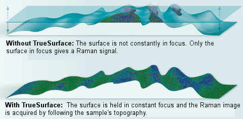 The TrueSurface Principle