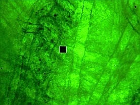 508 PV™ Microscope Spectrophotometer for Acquiring Spectra From the Deep Ultraviolet