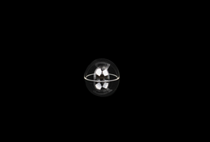 Sapphire Dome (φ20 mm).