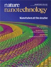 Nature Nanotechnology: Nature Publishing Group Journal