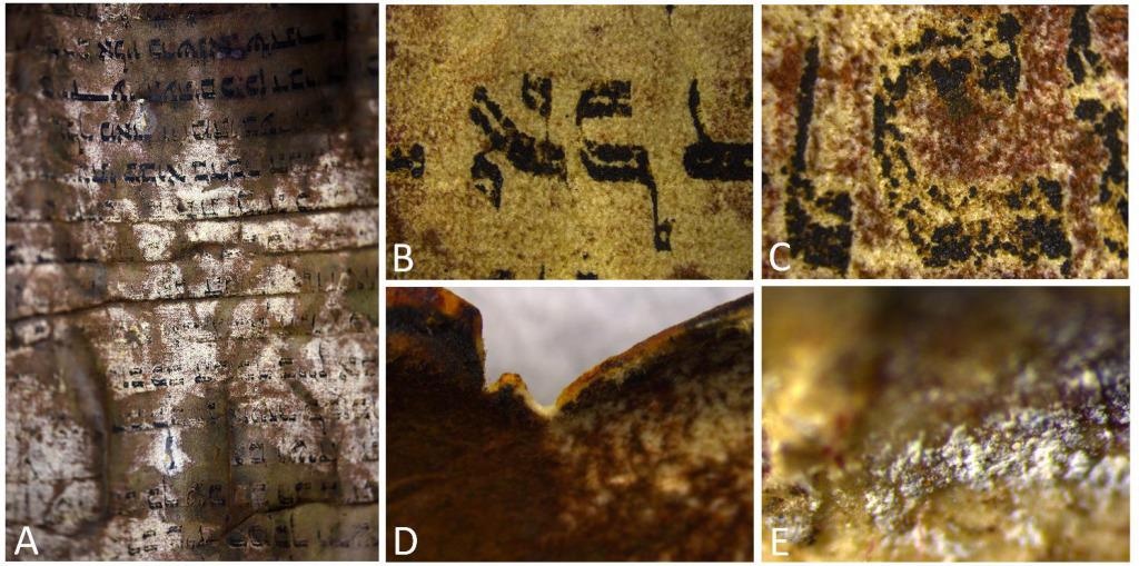 Details of the scroll, showing various types of degradation.