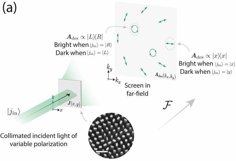 Novel Study Discloses the Hidden Potential of Metasurfaces.