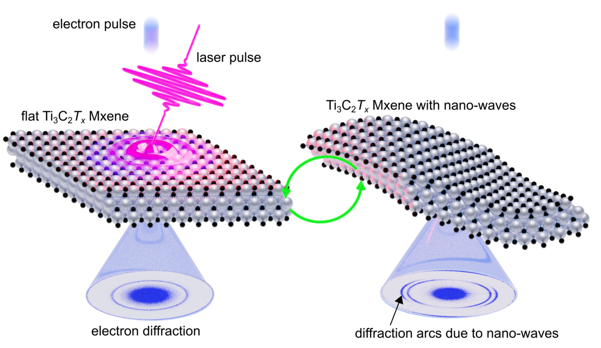 Femtosecond Laser Light Pulses Create Switchable Nano-Waves in MXenes