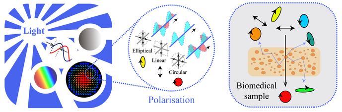 Unique Properties of Polarization for Use in Biomedical and Clinical Applications.