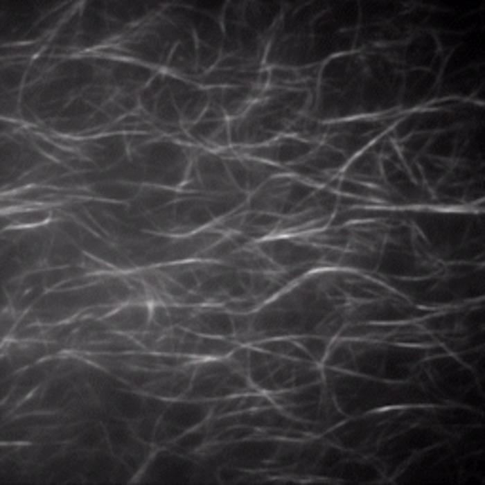 Light-Powered Molecular Movement Through Synthetic Self-Made Fibers.