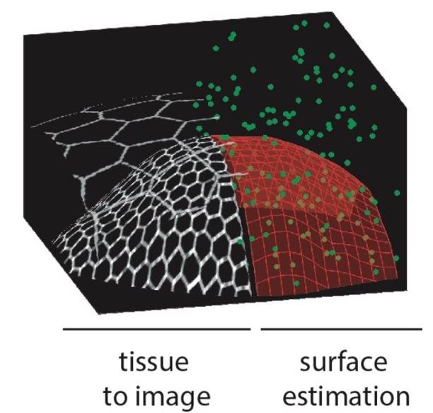 New Smart Microscope Adapts Itself to Image Biological Structures.