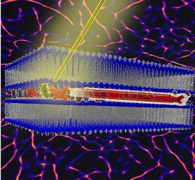 Scientists Build a Unique Artificial Molecular Machine with Light as its Energy Source.