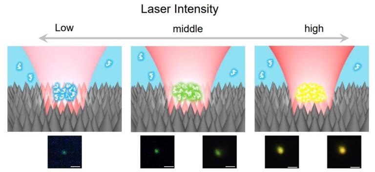 Researchers Create a New Trapping Technique That Demonstrates Fully Reversible Remote Control of Color.
