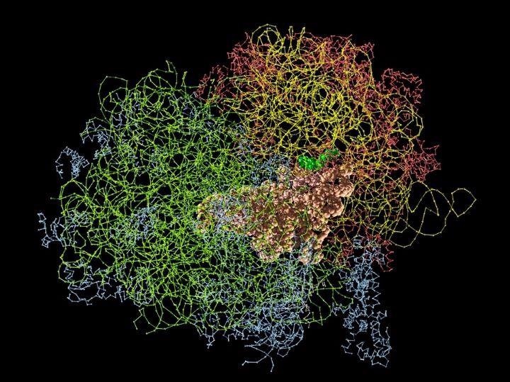 New Imaging Method to Treat Cancers and Viral Infections.