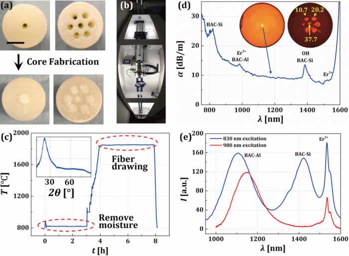 Research Sheds Light into Specialty Optical Fibers Based on 3D Printing Technology.