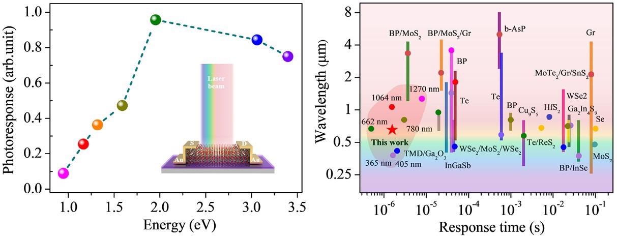 Scientists Develop 2D-Based Photodetector with High-Speed Photoresponse and Broadband Detection Proficiency.