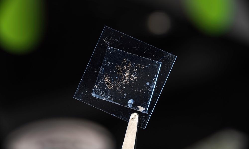 Automated Scanning Device Detects Monolayers with 99.9% Accuracy.