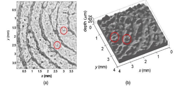 Researchers Present Major Breakthrough in Dynamic and Digital Holography.