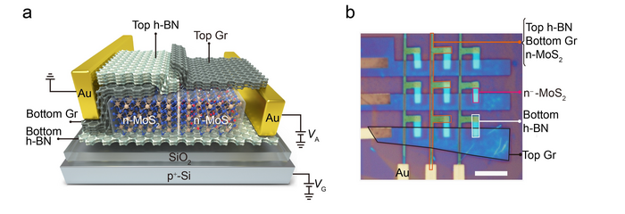 New Optoelectronic Device Can Detect Optical Signals and Convert Them into Electrical Signals.