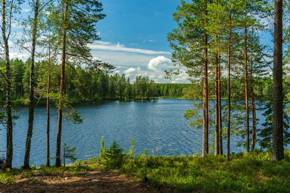 Satellites and In-Situ Data Useful for Assessing Bio-Optical State of Water