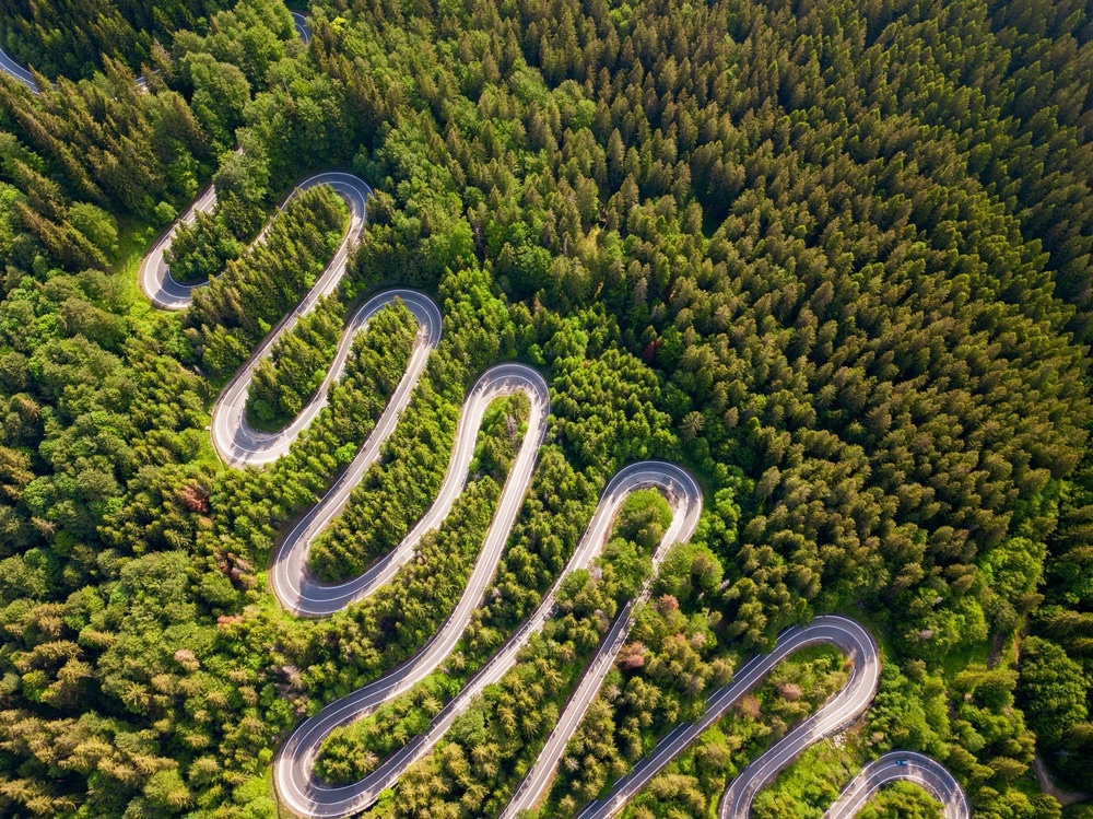 forest road, LiDAR