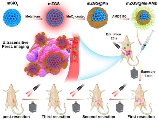 Ultrasensitive Image-Guided Tumor Resection Through Near-infrared Persistent Luminescence Nanoprobe